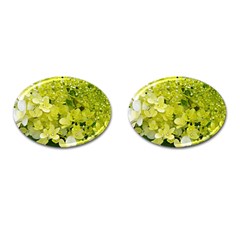 Elegant Chartreuse Green Limelight Hydrangea Macro Cufflinks (oval) by myrubiogarden