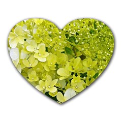 Elegant Chartreuse Green Limelight Hydrangea Macro Heart Mousepads