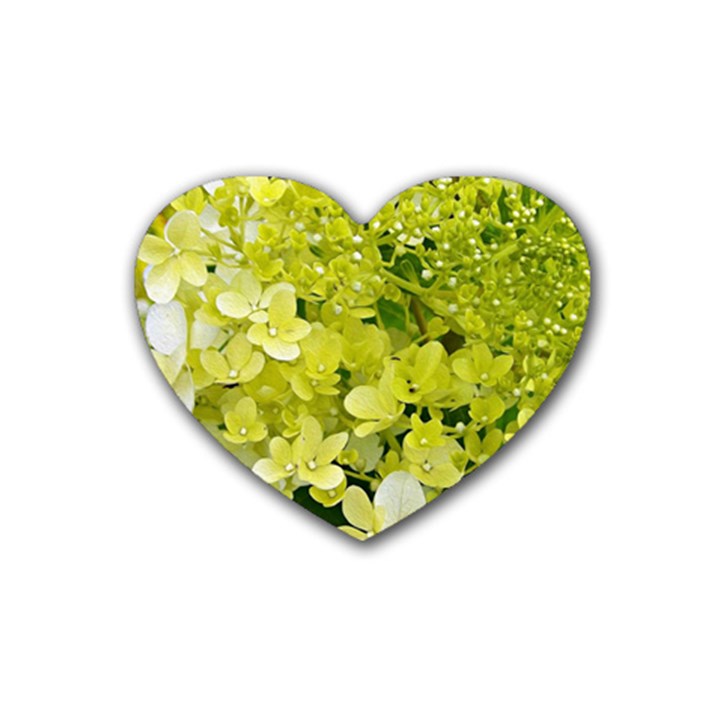 Elegant Chartreuse Green Limelight Hydrangea Macro Heart Coaster (4 pack) 