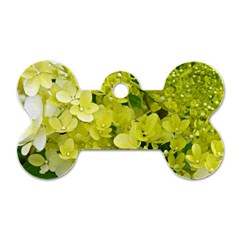 Elegant Chartreuse Green Limelight Hydrangea Macro Dog Tag Bone (one Side) by myrubiogarden