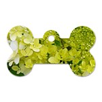 Elegant Chartreuse Green Limelight Hydrangea Macro Dog Tag Bone (Two Sides) Front