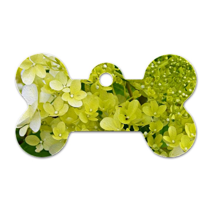 Elegant Chartreuse Green Limelight Hydrangea Macro Dog Tag Bone (Two Sides)