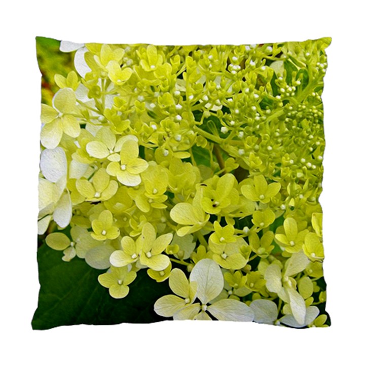 Elegant Chartreuse Green Limelight Hydrangea Macro Standard Cushion Case (Two Sides)