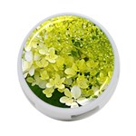 Elegant Chartreuse Green Limelight Hydrangea Macro 4-Port USB Hub (One Side) Front