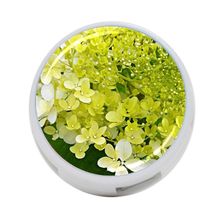 Elegant Chartreuse Green Limelight Hydrangea Macro 4-Port USB Hub (One Side)