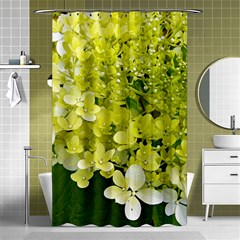 Elegant Chartreuse Green Limelight Hydrangea Macro Shower Curtain 48  X 72  (small)  by myrubiogarden