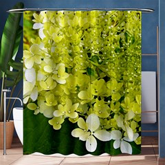 Elegant Chartreuse Green Limelight Hydrangea Macro Shower Curtain 60  X 72  (medium)  by myrubiogarden