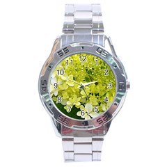 Elegant Chartreuse Green Limelight Hydrangea Macro Stainless Steel Analogue Watch by myrubiogarden