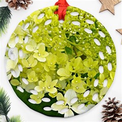 Elegant Chartreuse Green Limelight Hydrangea Macro Round Filigree Ornament (two Sides)