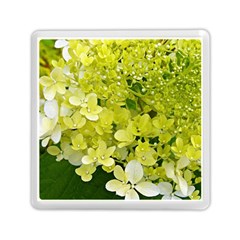 Elegant Chartreuse Green Limelight Hydrangea Macro Memory Card Reader (square) by myrubiogarden