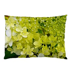 Elegant Chartreuse Green Limelight Hydrangea Macro Pillow Case (two Sides) by myrubiogarden