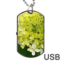 Elegant Chartreuse Green Limelight Hydrangea Macro Dog Tag Usb Flash (one Side) by myrubiogarden