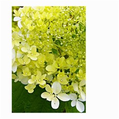 Elegant Chartreuse Green Limelight Hydrangea Macro Small Garden Flag (two Sides) by myrubiogarden