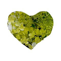 Elegant Chartreuse Green Limelight Hydrangea Macro Standard 16  Premium Heart Shape Cushions by myrubiogarden