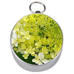 Elegant Chartreuse Green Limelight Hydrangea Macro Silver Compasses by myrubiogarden