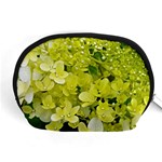 Elegant Chartreuse Green Limelight Hydrangea Macro Accessory Pouch (Medium) Front