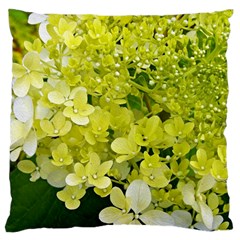 Elegant Chartreuse Green Limelight Hydrangea Macro Standard Flano Cushion Case (one Side)