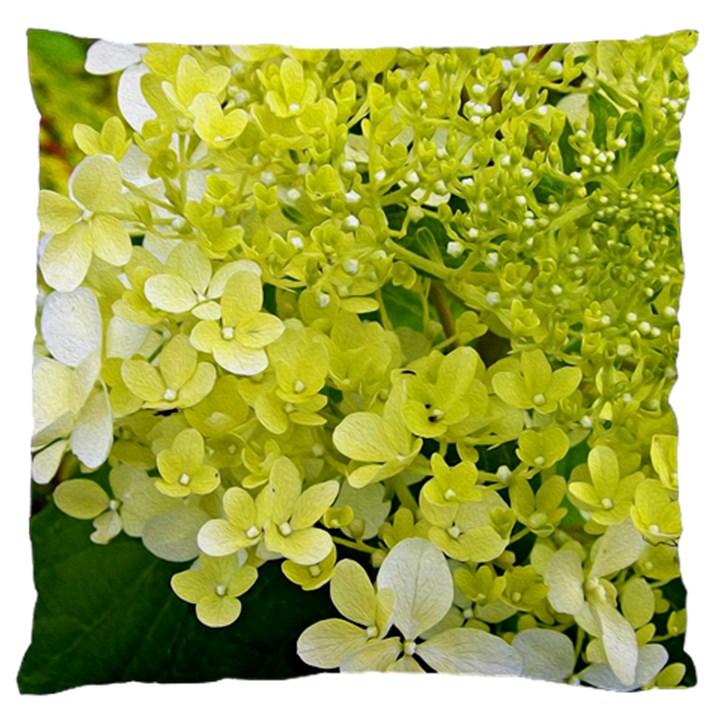 Elegant Chartreuse Green Limelight Hydrangea Macro Standard Flano Cushion Case (Two Sides)