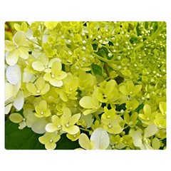 Elegant Chartreuse Green Limelight Hydrangea Macro Double Sided Flano Blanket (medium)  by myrubiogarden