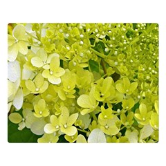 Elegant Chartreuse Green Limelight Hydrangea Macro Double Sided Flano Blanket (large)  by myrubiogarden