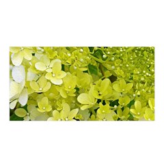 Elegant Chartreuse Green Limelight Hydrangea Macro Satin Wrap