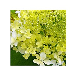 Elegant Chartreuse Green Limelight Hydrangea Macro Small Satin Scarf (square) by myrubiogarden