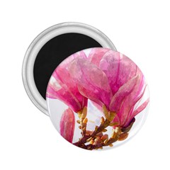 Wild Magnolia Flower 2 25  Magnets by picsaspassion