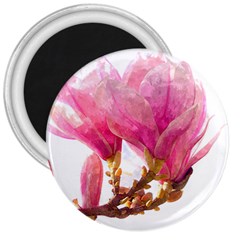 Wild Magnolia Flower 3  Magnets