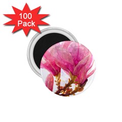 Wild Magnolia Flower 1 75  Magnets (100 Pack)  by picsaspassion