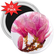 Wild Magnolia Flower 3  Magnets (10 Pack)  by picsaspassion