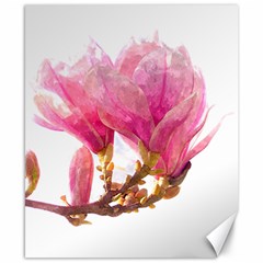 Wild Magnolia Flower Canvas 8  X 10  by picsaspassion