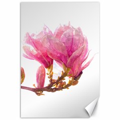 Wild Magnolia Flower Canvas 12  X 18  by picsaspassion