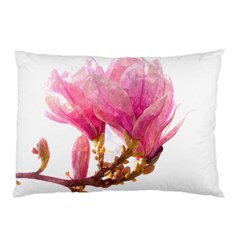 Wild Magnolia Flower Pillow Case by picsaspassion