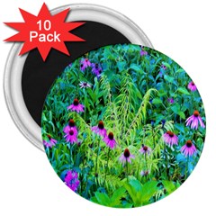 Purple Coneflower Garden With Tiger Eye Tree 3  Magnets (10 Pack)  by myrubiogarden