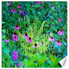 Purple Coneflower Garden With Tiger Eye Tree Canvas 16  X 16  by myrubiogarden