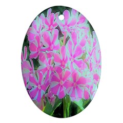 Hot Pink And White Peppermint Twist Garden Phlox Ornament (oval) by myrubiogarden