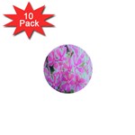 Hot Pink And White Peppermint Twist Garden Phlox 1  Mini Buttons (10 pack)  Front