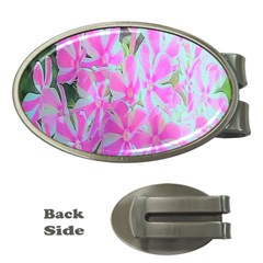 Hot Pink And White Peppermint Twist Garden Phlox Money Clips (oval) 