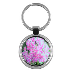 Hot Pink And White Peppermint Twist Garden Phlox Key Chains (round) 