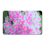 Hot Pink And White Peppermint Twist Garden Phlox Magnet (Rectangular) Front