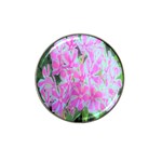 Hot Pink And White Peppermint Twist Garden Phlox Hat Clip Ball Marker Front