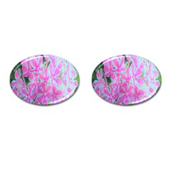 Hot Pink And White Peppermint Twist Garden Phlox Cufflinks (oval) by myrubiogarden