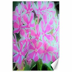 Hot Pink And White Peppermint Twist Garden Phlox Canvas 24  X 36 