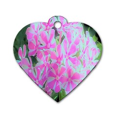 Hot Pink And White Peppermint Twist Garden Phlox Dog Tag Heart (one Side)