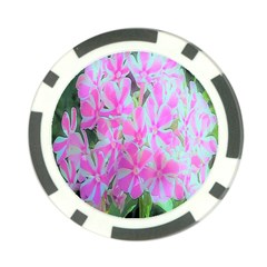 Hot Pink And White Peppermint Twist Garden Phlox Poker Chip Card Guard