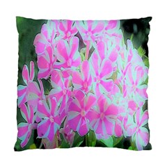 Hot Pink And White Peppermint Twist Garden Phlox Standard Cushion Case (two Sides)