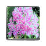 Hot Pink And White Peppermint Twist Garden Phlox Memory Card Reader (Square 5 Slot) Front