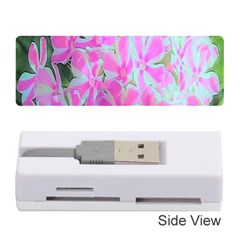 Hot Pink And White Peppermint Twist Garden Phlox Memory Card Reader (stick) by myrubiogarden