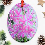 Hot Pink And White Peppermint Twist Garden Phlox Ornament (Oval Filigree) Front