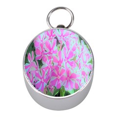 Hot Pink And White Peppermint Twist Garden Phlox Mini Silver Compasses by myrubiogarden